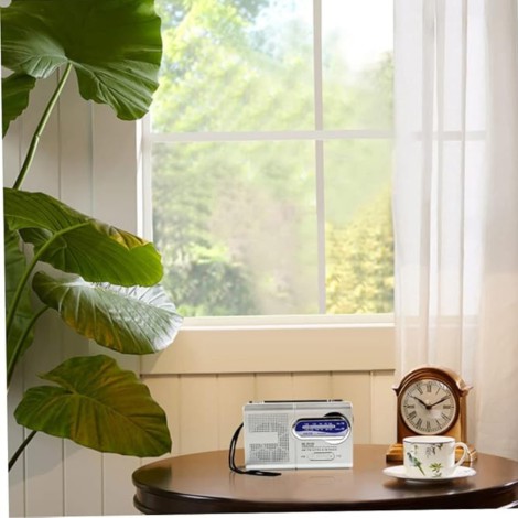 Mini Radio Portátil AM/FM - Teletienda - La Teletienda en casa